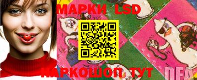 сатива Кандалакша