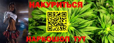 сатива Кандалакша