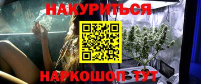 сатива Кандалакша