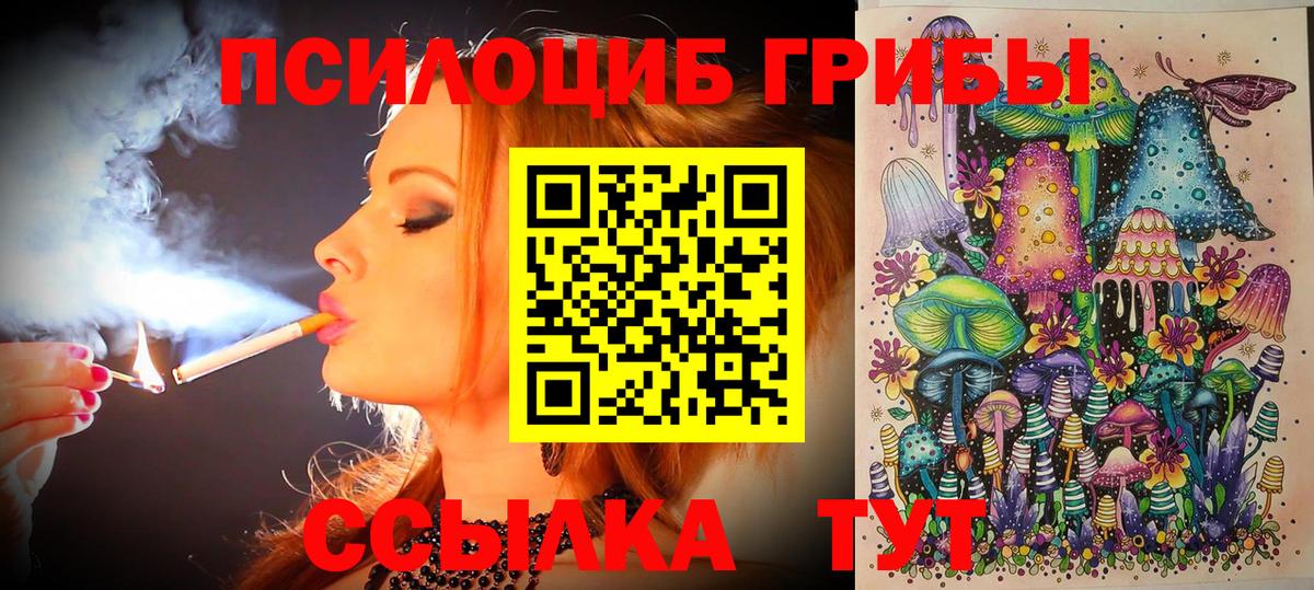 Курган  где можно купить наркотик  Вход с VPN  Псилоцибиновые грибы GOLDEN TEACHER  Псилоцибиновые грибы GOLDEN TEACHER 